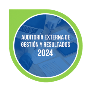 auditoría externa de gestión y resultados 2023